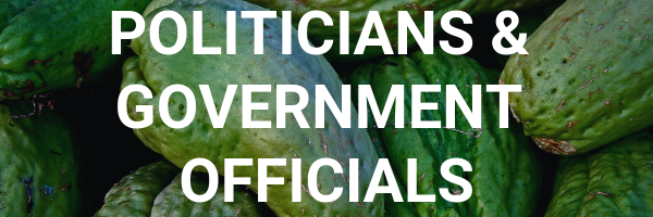 Politicians and government officials button